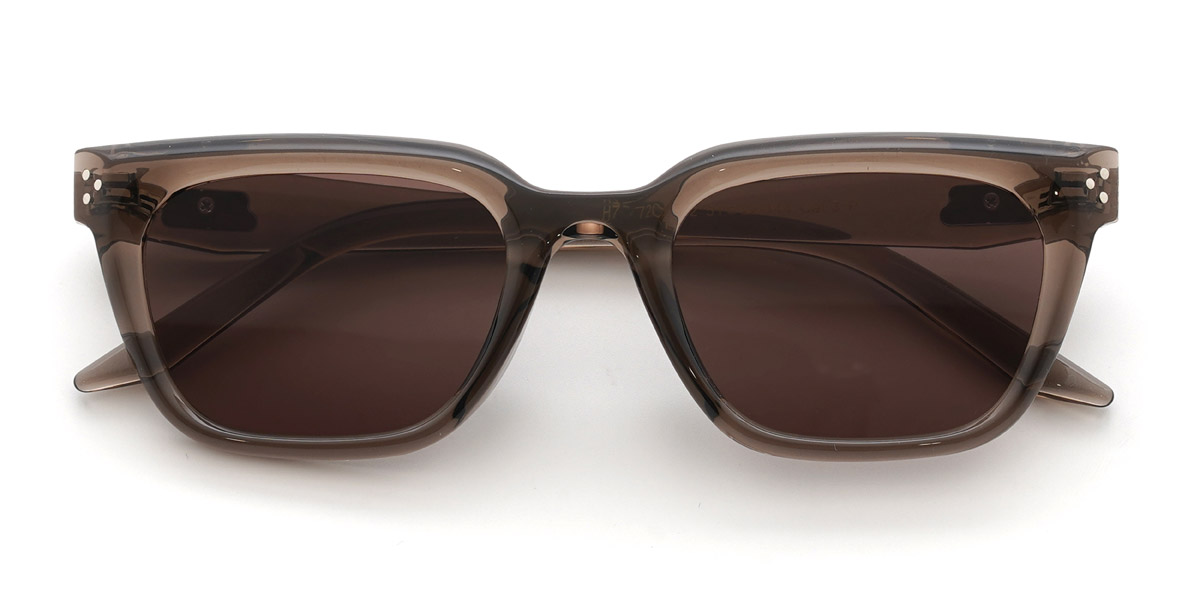 Brown Brown Talon - Rectangle Sunglasses