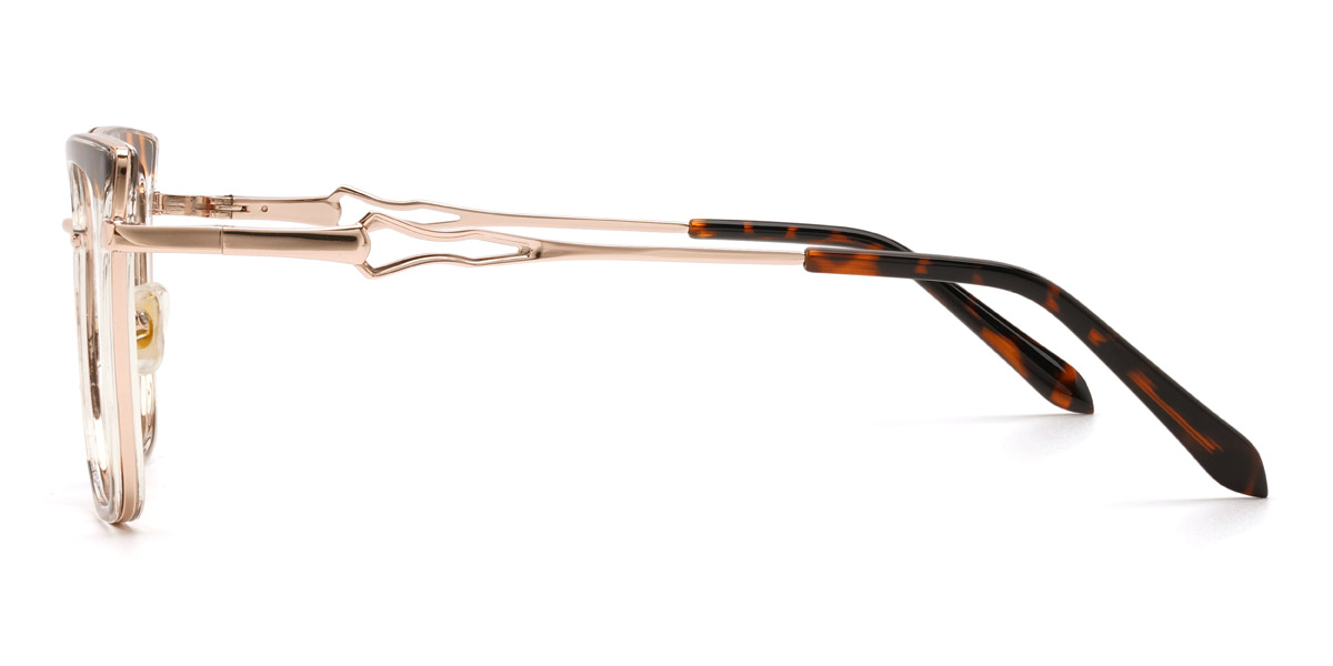 Clear Tortoiseshell Jaylah Glasses - Square Glasses