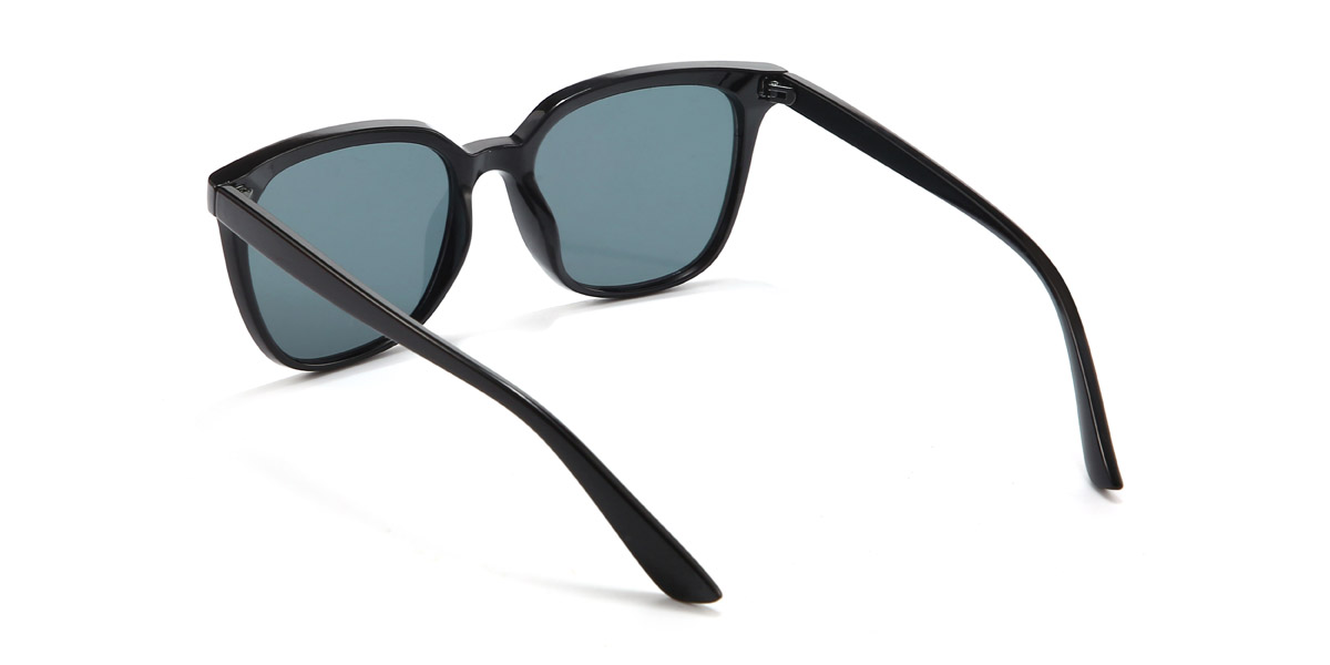 Noir Gris Rayna Lunettes - Square Sunglasses