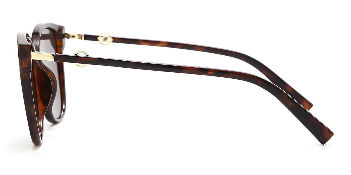 Harlee Glasses