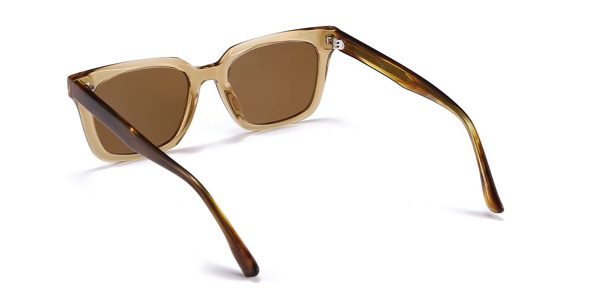 Transparent Brown Brown Tompkins - Rectangle Sunglasses