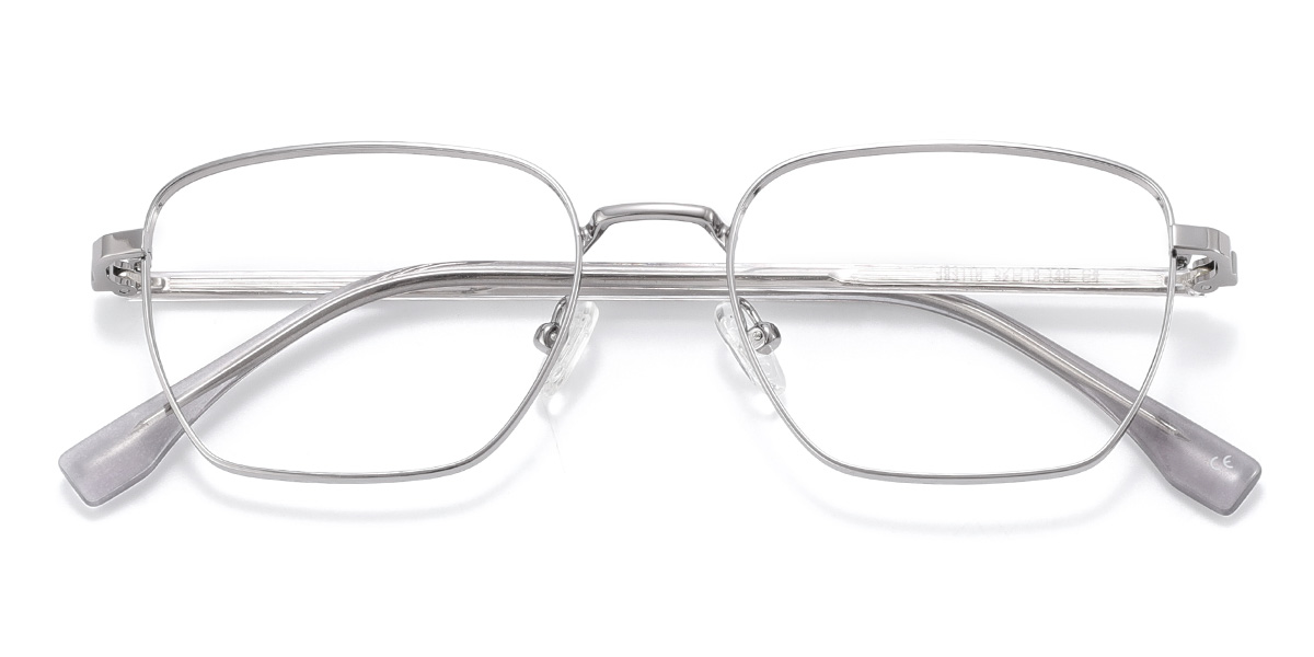 Silver Spivey Glasses - Rectangle Glasses