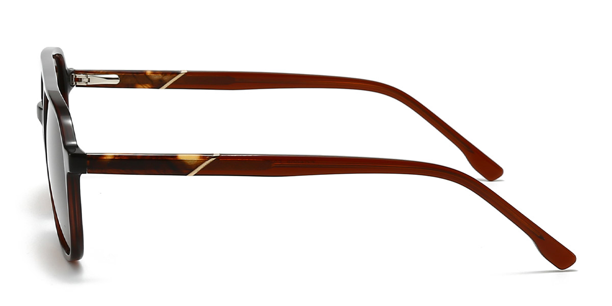 Brown Brown Calhoun - Aviator Sunglasses