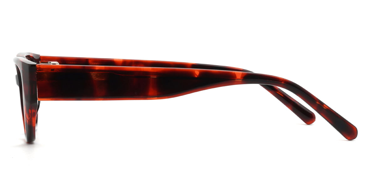 Tortoiseshell Bertram Glasses - Cat Eye Glasses