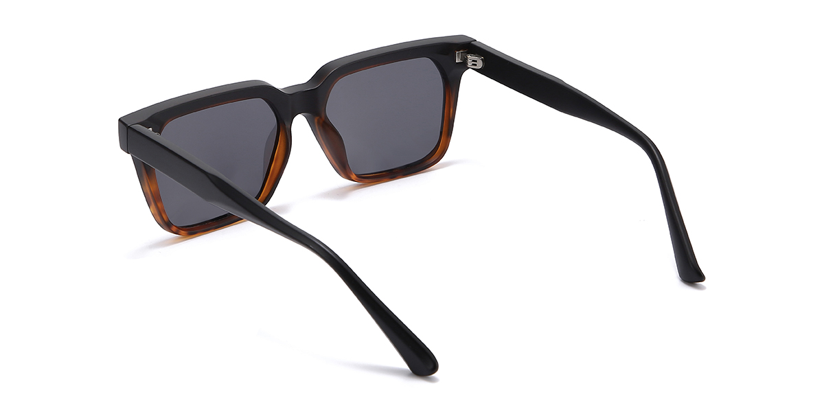 Black Tortoiseshell Gradual Grey Raphael Glasses - Rectangle Sunglasses