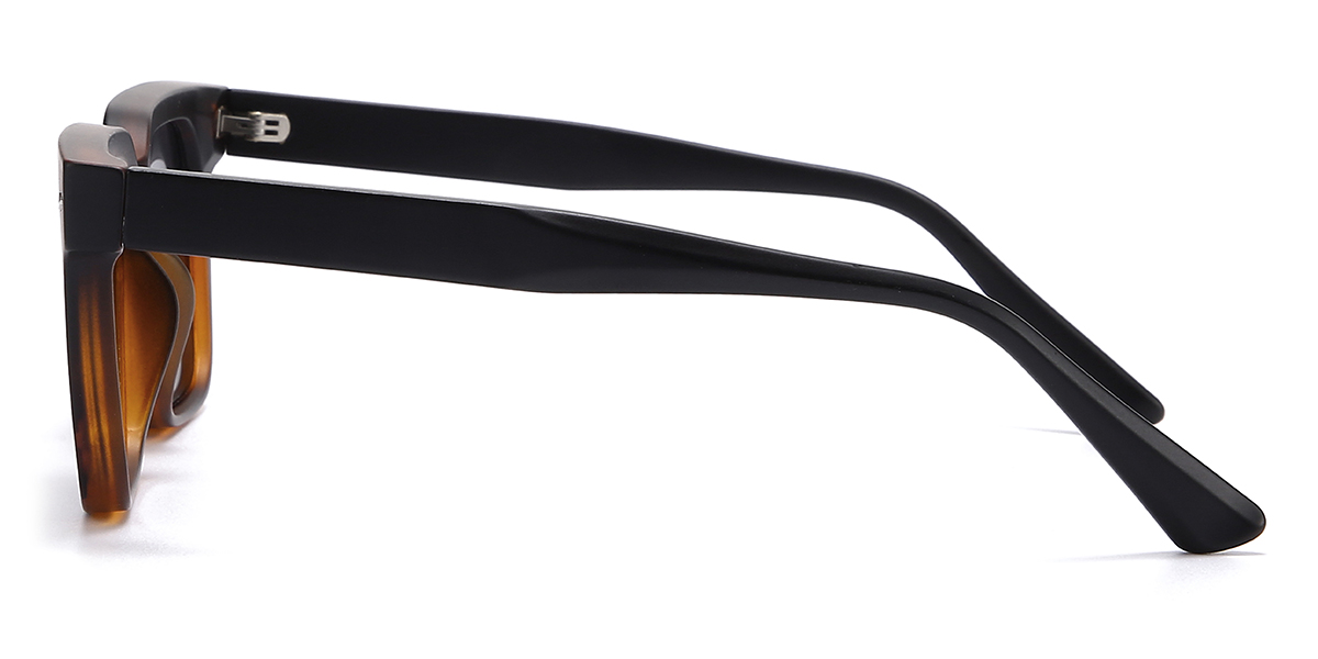Black Brown Raphael Glasses - Rectangle Sunglasses