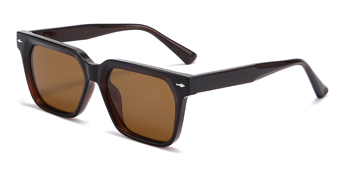 Black Brown Raphael Glasses - Rectangle Sunglasses