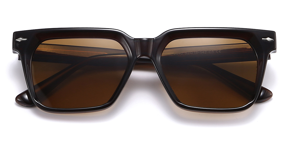 Black Brown Raphael Glasses - Rectangle Sunglasses