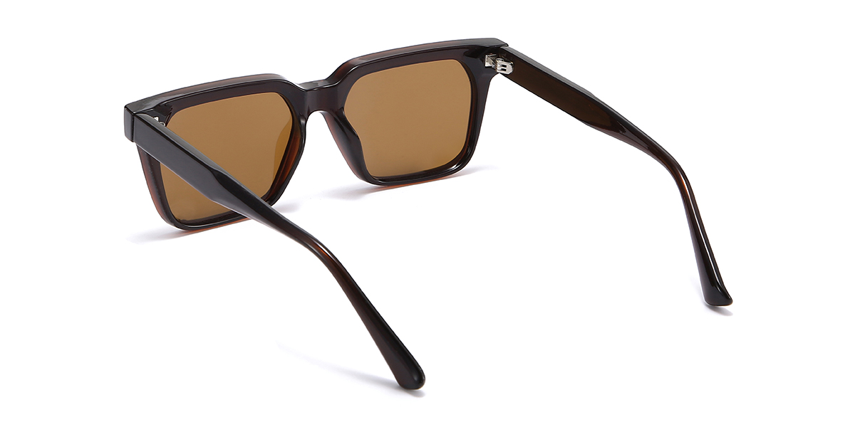 Black Brown Raphael Glasses - Rectangle Sunglasses
