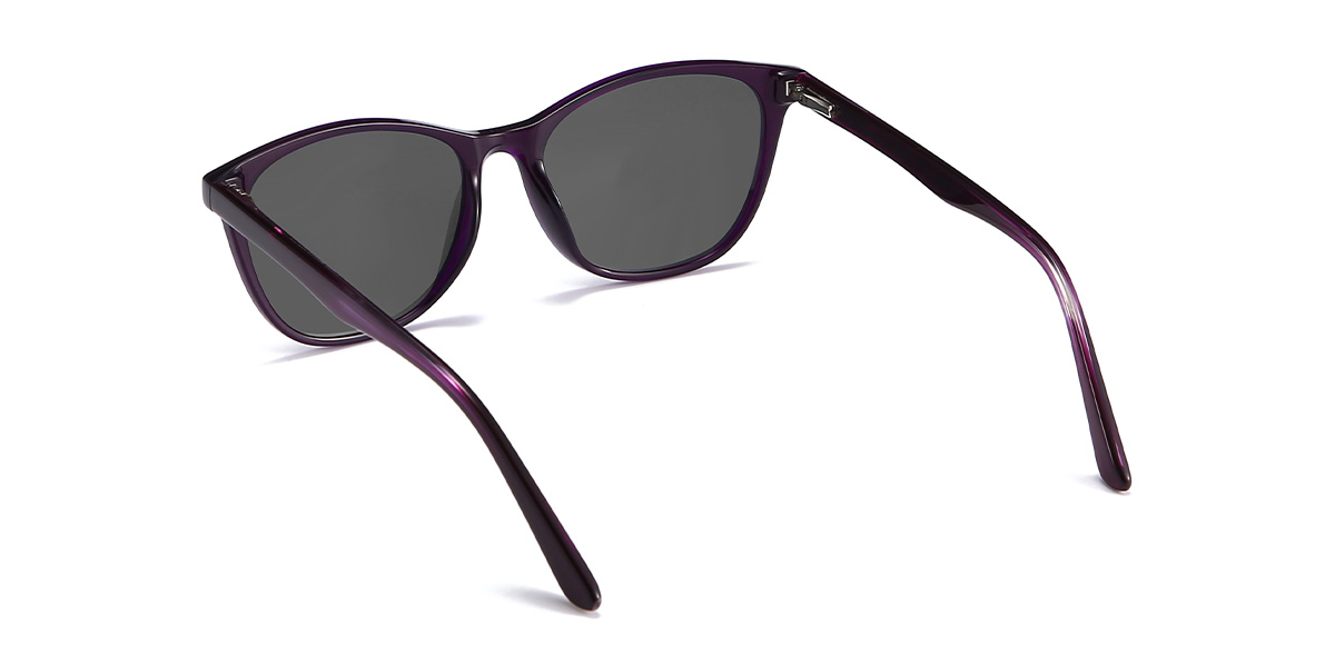 Purple Grey Guillermo Glasses - Rectangle Sunglasses