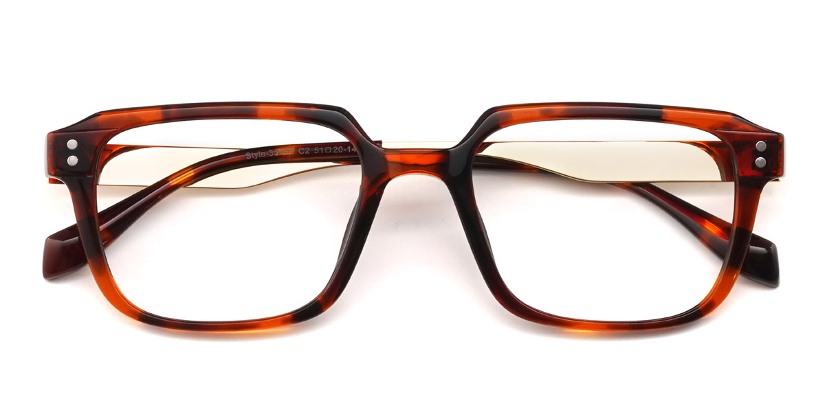 Tortoiseshell Damion Glasses - Rectangle Glasses