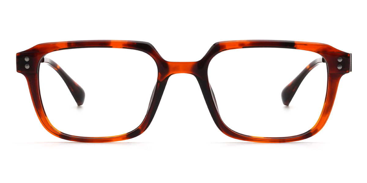 Tortoiseshell Damion - Rectangle Glasses