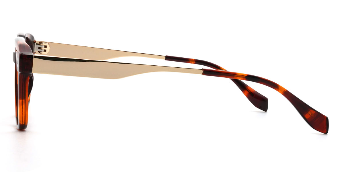 Tortoiseshell Damion Glasses - Rectangle Glasses