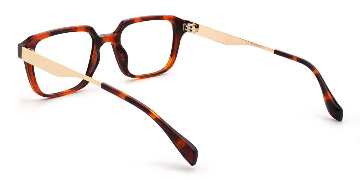 Tortoiseshell Damion Glasses - Rectangle Glasses
