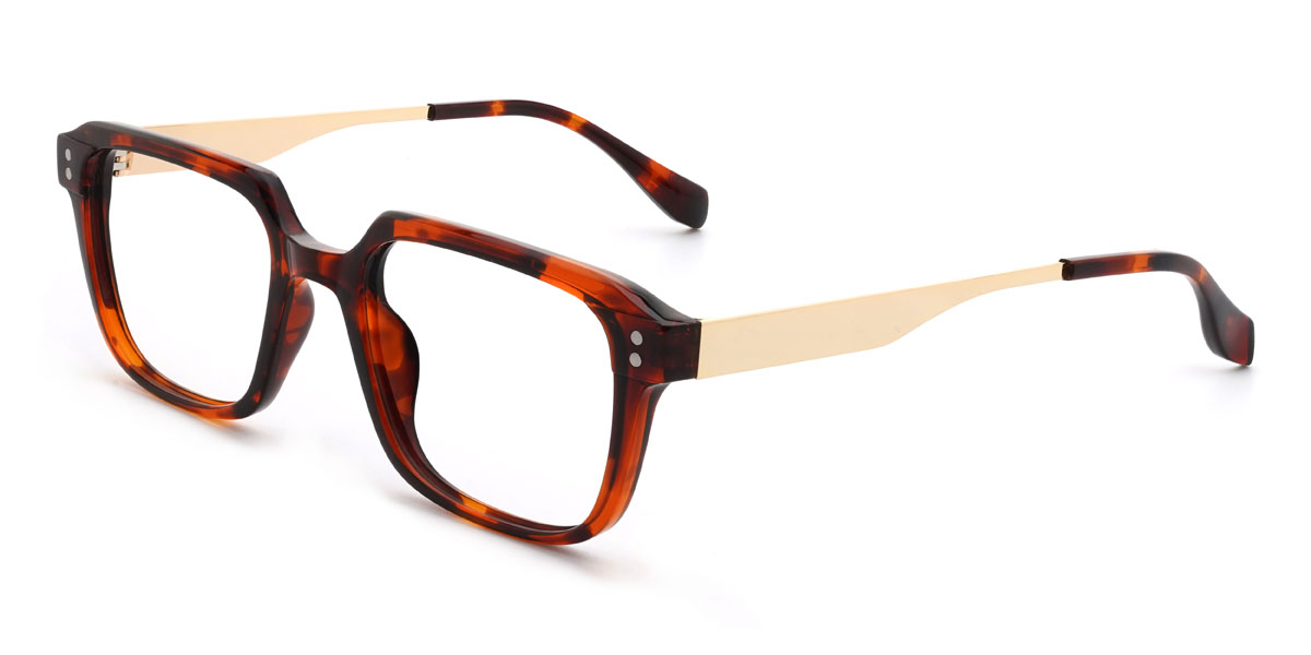 Tortoiseshell Damion Glasses - Rectangle Glasses