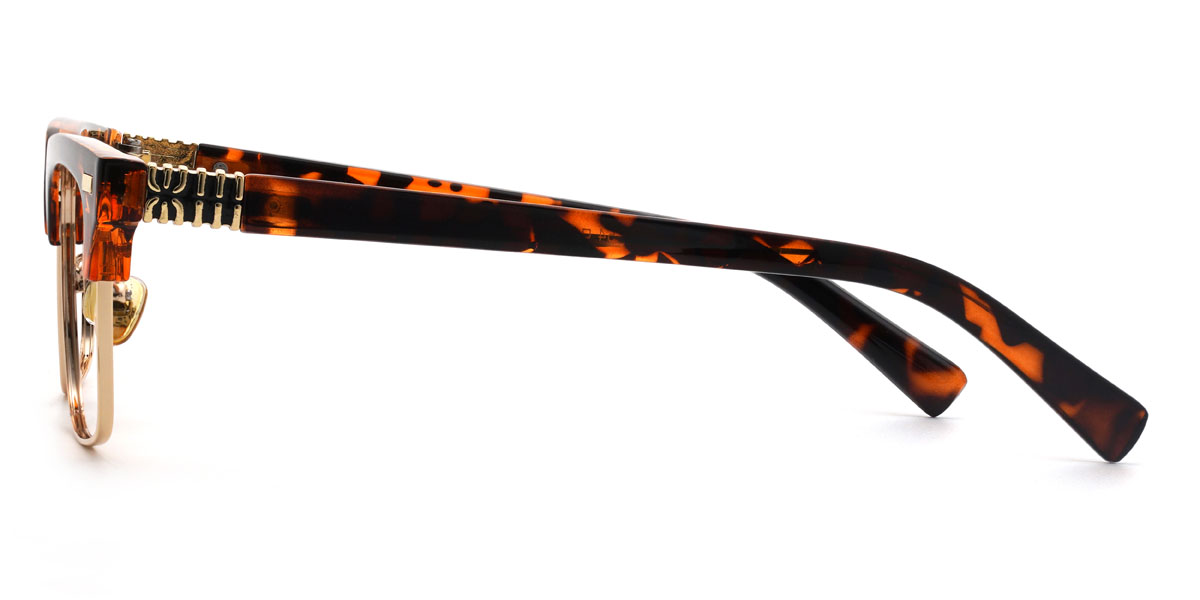 Tortoiseshell Rajveer Glasses - Rectangle Glasses