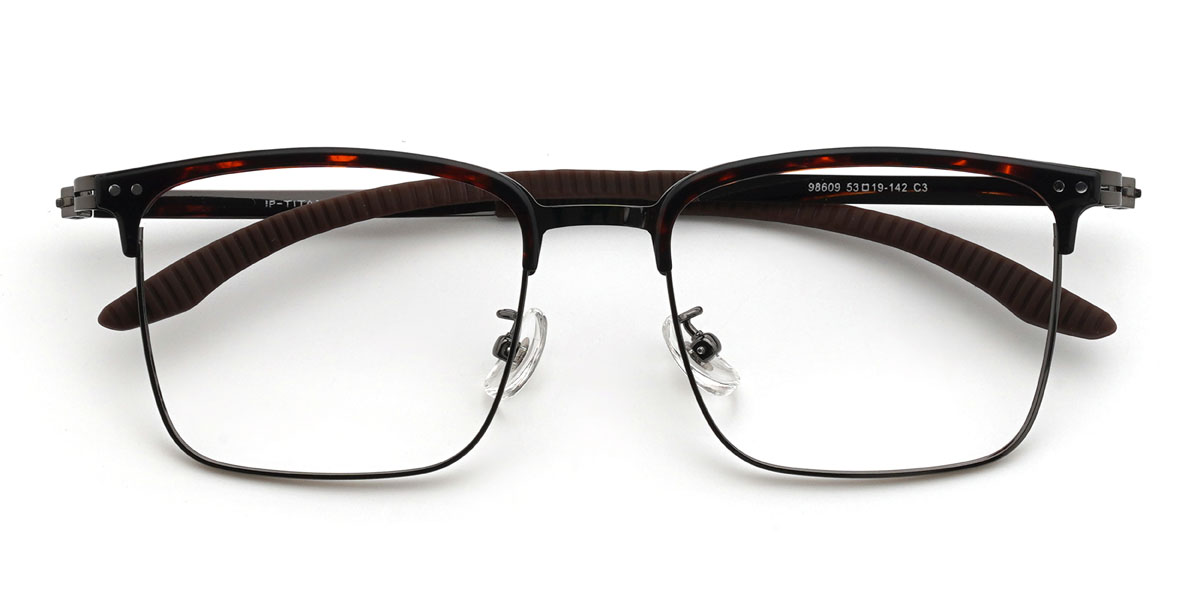 Tortoiseshell Aleen Glasses - Rectangle Glasses