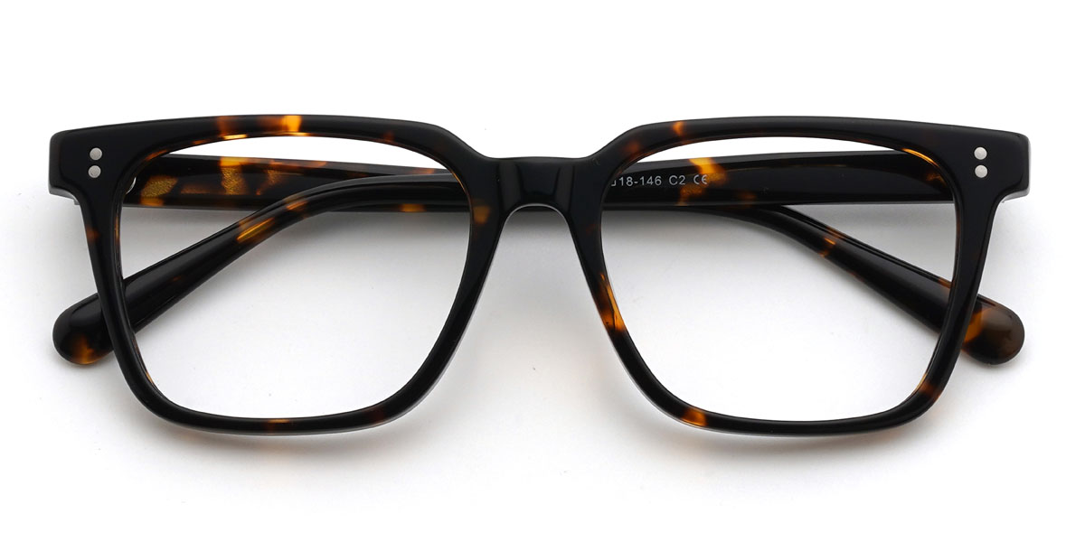 Tortoiseshell Defne Glasses - Rectangle Glasses