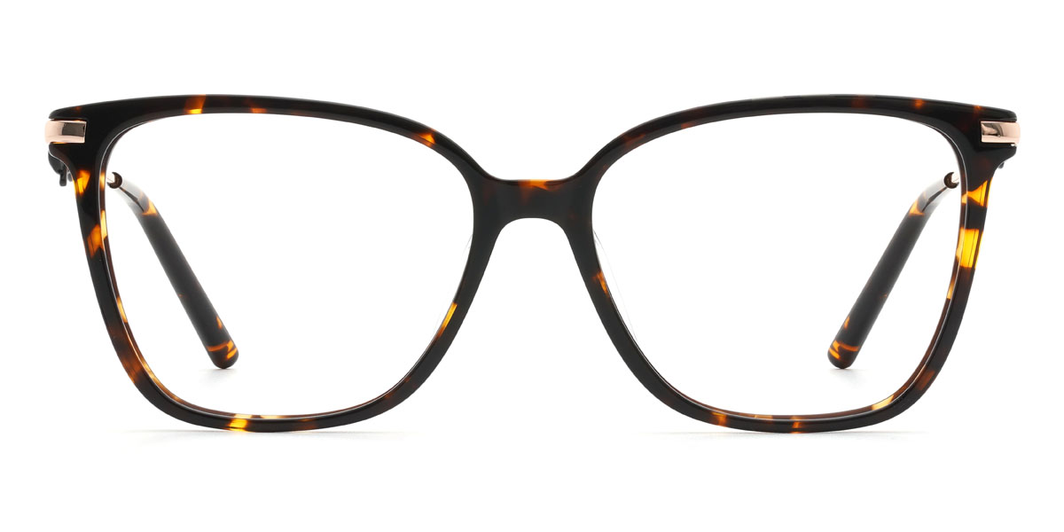 Tortoiseshell Riddhi Glasses - Rectangle Glasses