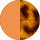Orange-Tortoiseshell