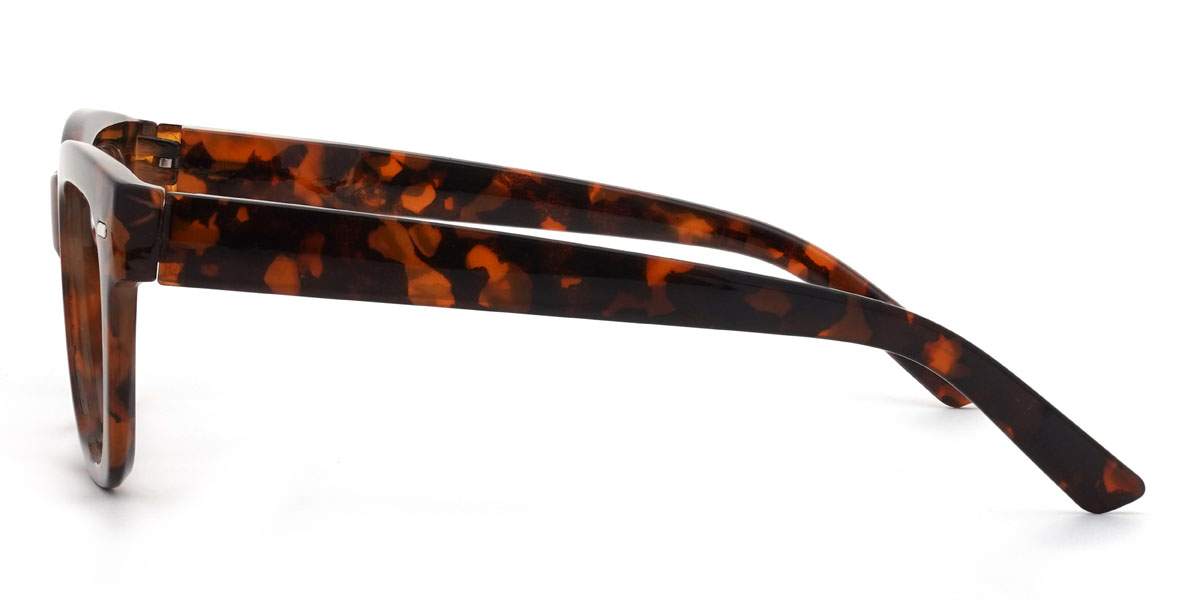 Tortoiseshell Kamara Glasses - Rectangle Glasses
