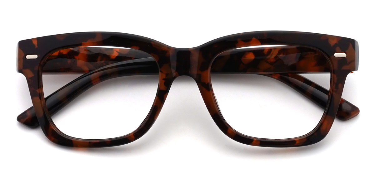 Tortoiseshell Kamara Glasses - Rectangle Glasses