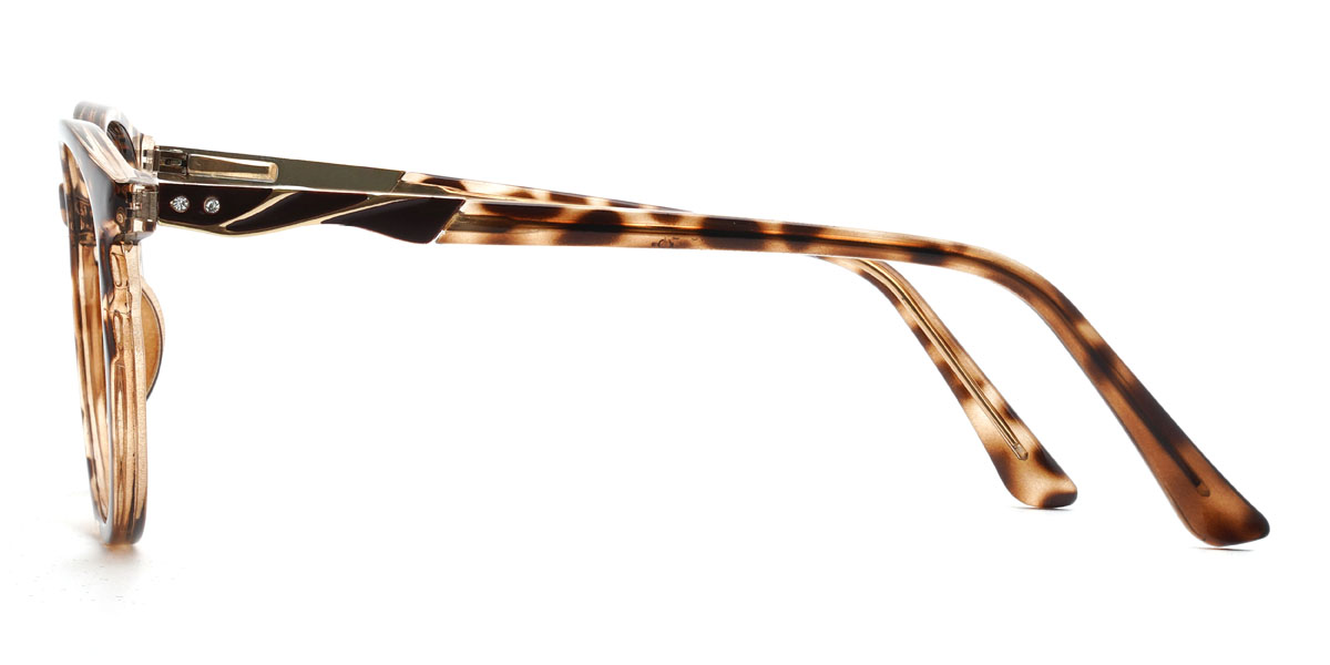 Tawny Tortoiseshell Kainoa Glasses - Oval Glasses