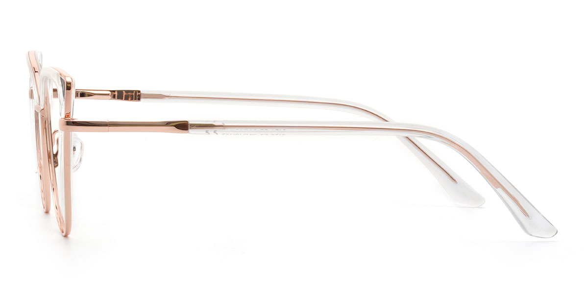 Clear Trishika Glasses - Cat Eye Glasses