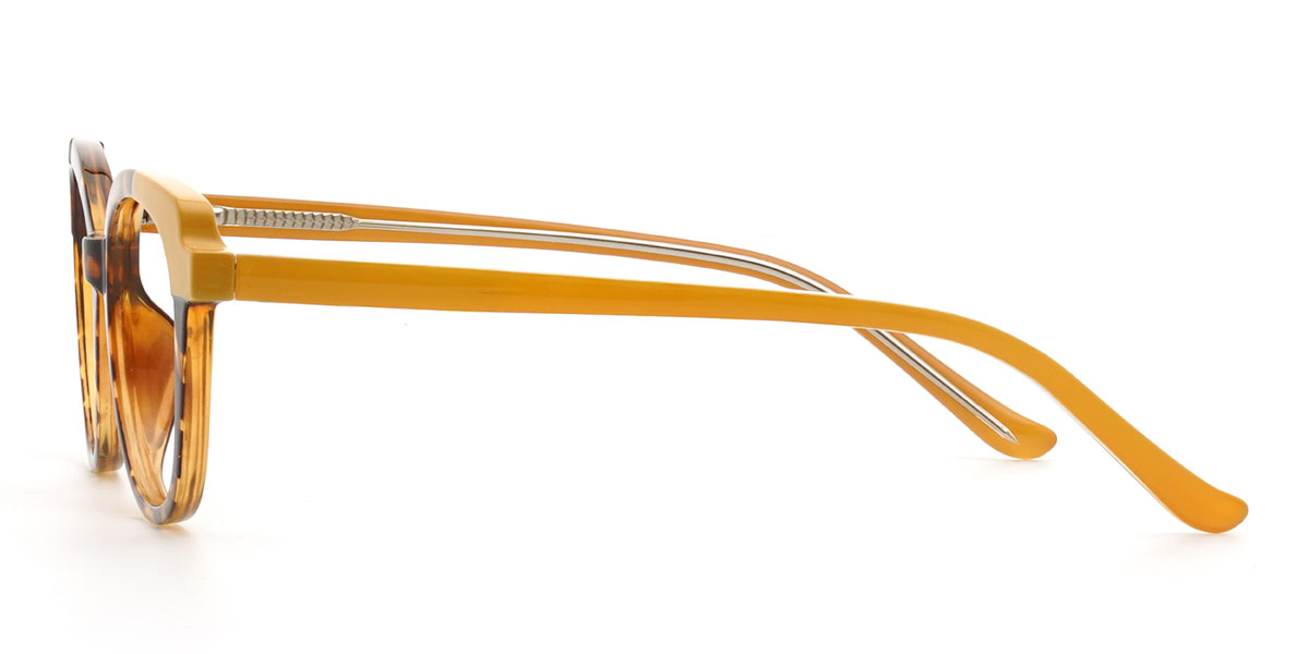 Tortoiseshell Soleil Glasses - Rectangle Glasses