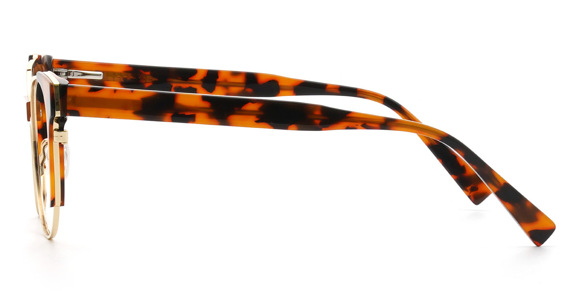 Tortoiseshell Townes Glasses - Oval Glasses