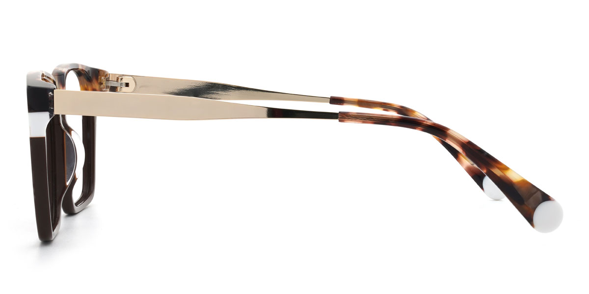 Marron Écaille de tortue Moises Lunettes - Rectangle Glasses