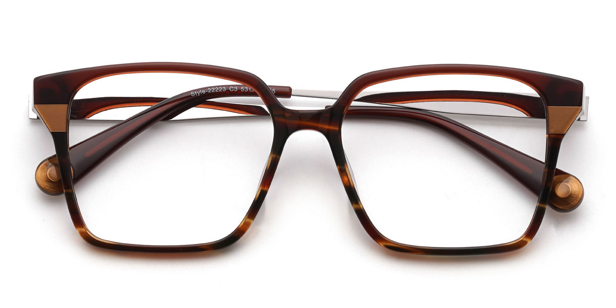 Wine Tortoiseshell Moises Glasses - Rectangle Glasses
