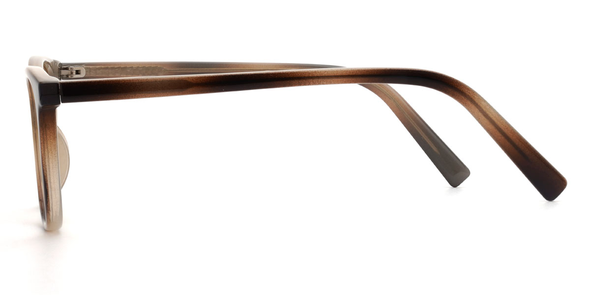 Brown Tortoiseshell Ousmane Glasses - Oval Glasses