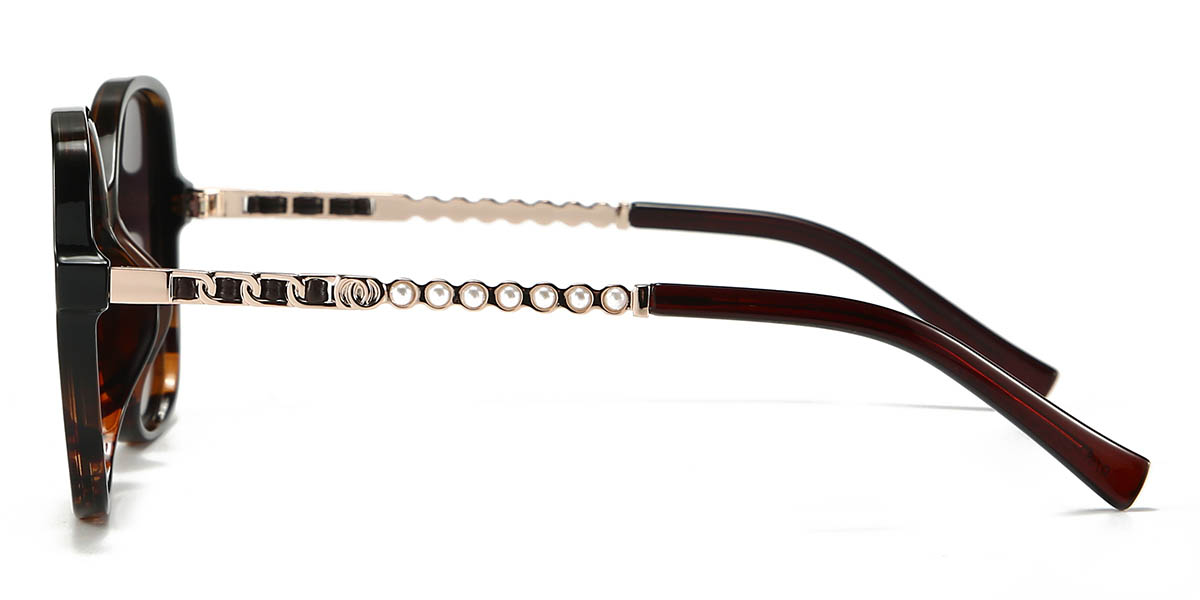 Tortoiseshell Gradual Brown Osvaldo Glasses - Square Sunglasses
