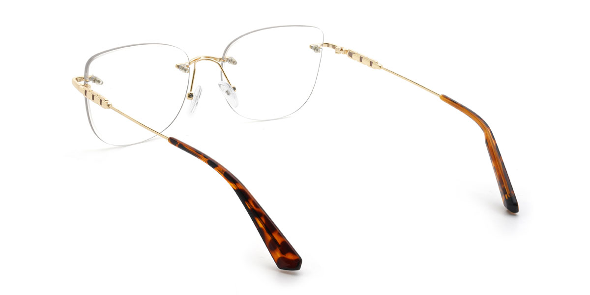 Gold Tortoiseshell Baraka Glasses - Rectangle Glasses