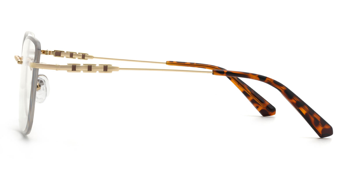 Gold Tortoiseshell Baraka Glasses - Rectangle Glasses