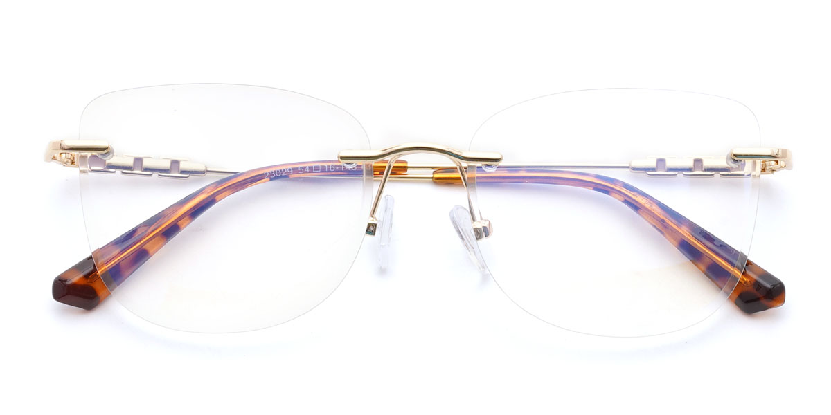 Gold Tortoiseshell Baraka Glasses - Rectangle Glasses