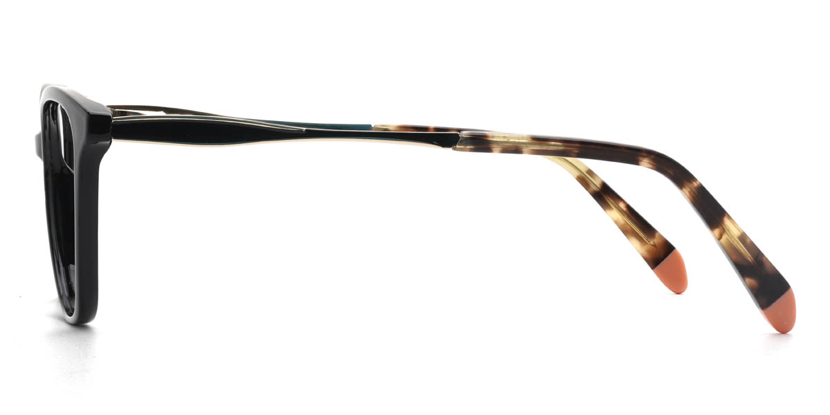 Black Coralynn Glasses - Cat Eye Glasses