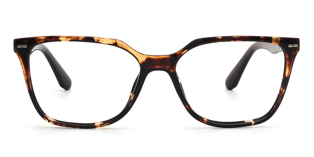 Tortoiseshell Gurbaaz Glasses - Rectangle Glasses