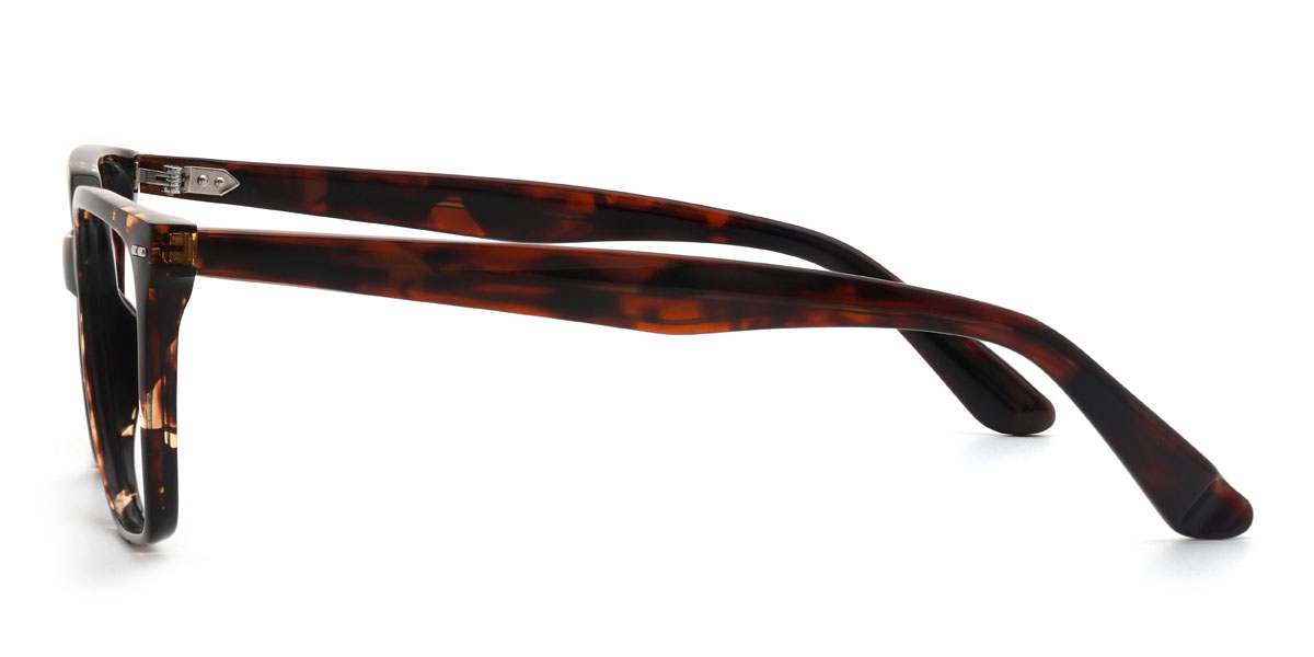 Tortoiseshell Gurbaaz Glasses - Rectangle Glasses