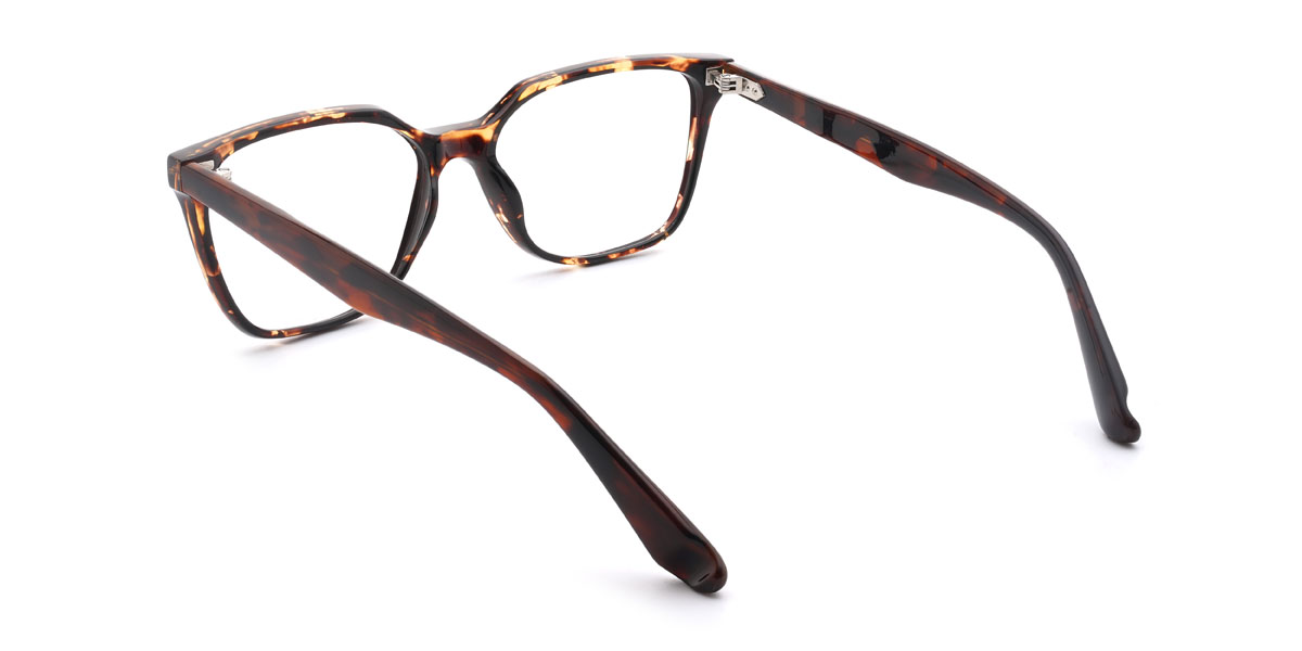 Tortoiseshell Gurbaaz Glasses - Rectangle Glasses