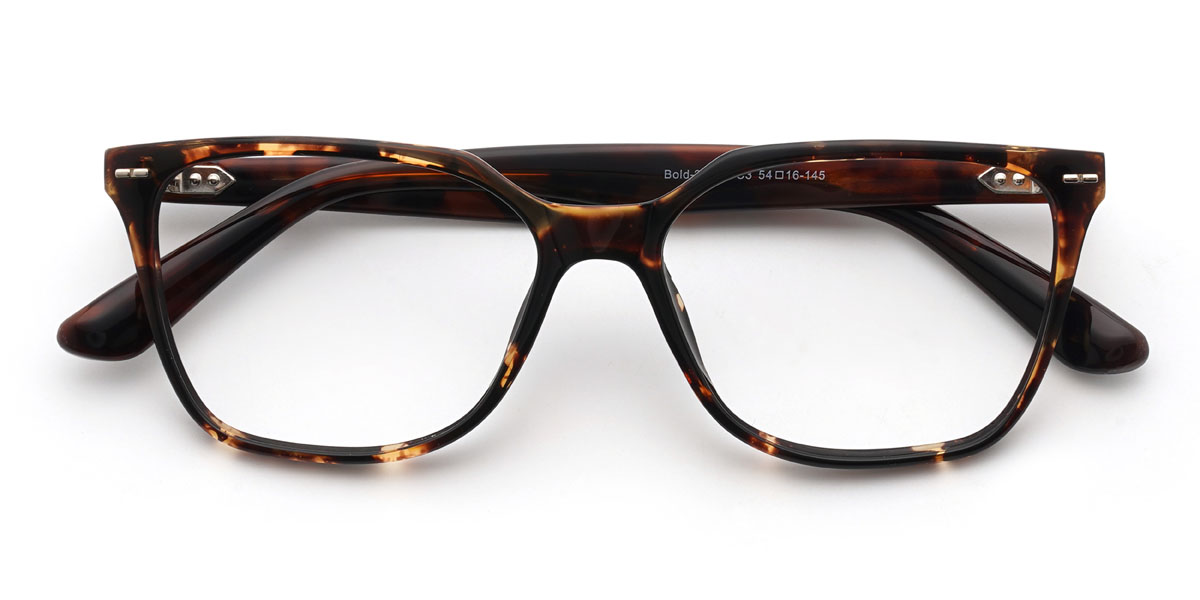 Tortoiseshell Gurbaaz Glasses - Rectangle Glasses