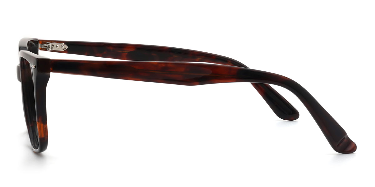 Deep Tortoiseshell Gurbaaz Glasses - Rectangle Glasses