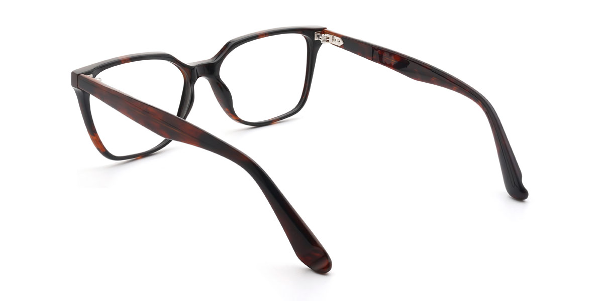 Deep Tortoiseshell Gurbaaz Glasses - Rectangle Glasses
