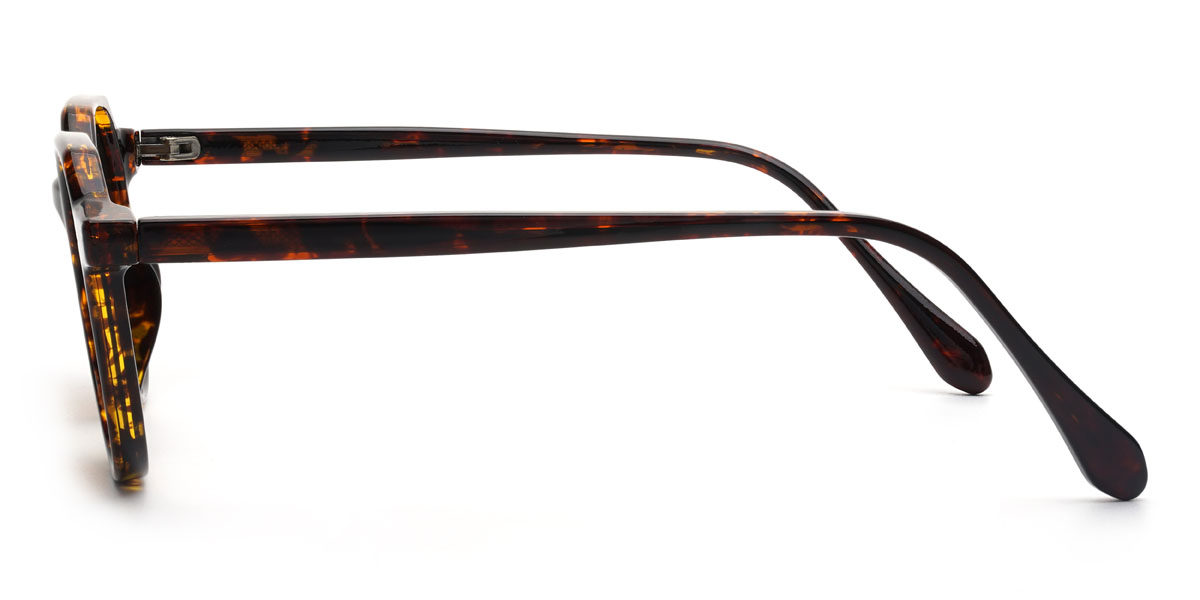 Écaille de tortue Marron Amiel Lunettes - Oval Sunglasses