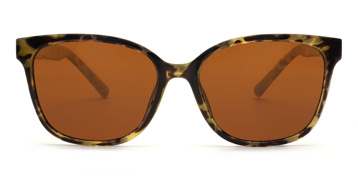 Tortoiseshell Brown Hutson Glasses - Rectangle Sunglasses