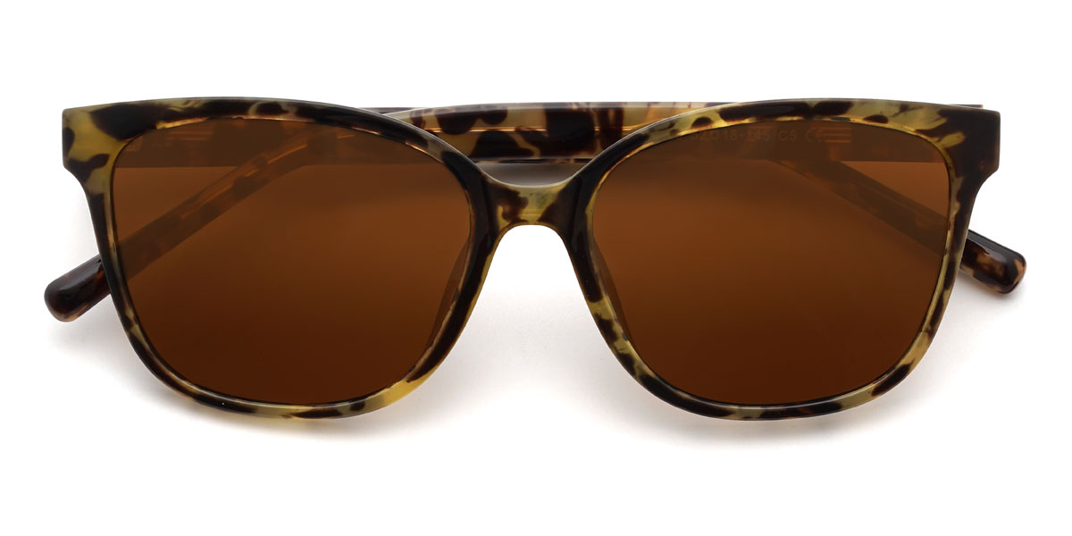Tortoiseshell Brown Hutson Glasses - Rectangle Sunglasses