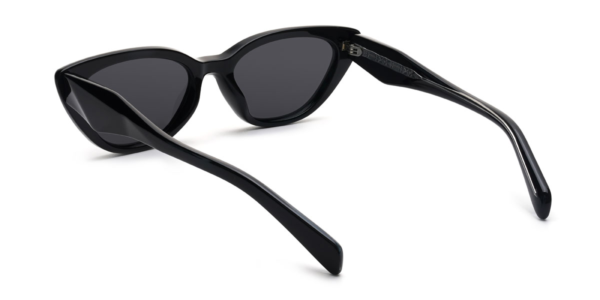 Schwarz Grau Priscila Brille - Cat Eye Sunglasses