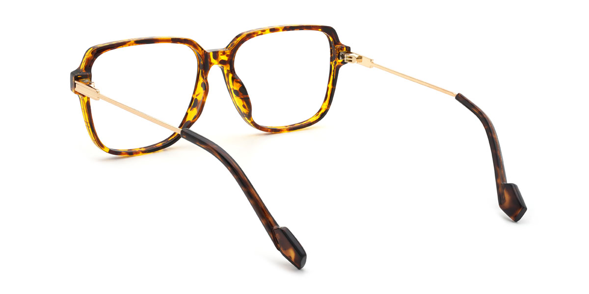 Teknősbéka Ledger Szemüveg - Square Glasses