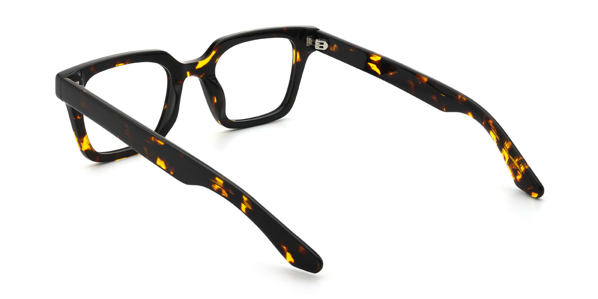 Écaille Lakelyn Lunettes - Rectangle Glasses